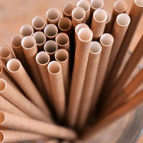 I vantaggi della plastica in fibra di paglia per l'ambiente