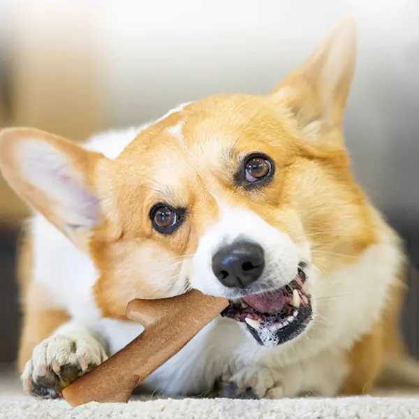 Pet Toy Bio Based Plastic