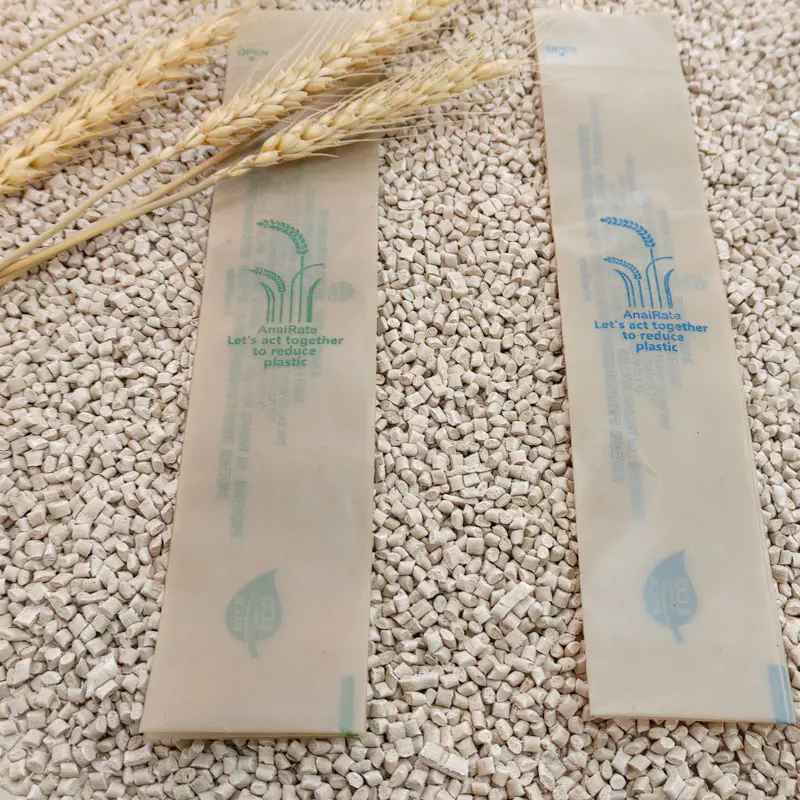 Sustainable bio-based plastic